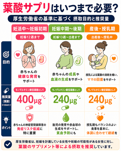 妊娠状況に合わせた葉酸の摂取量