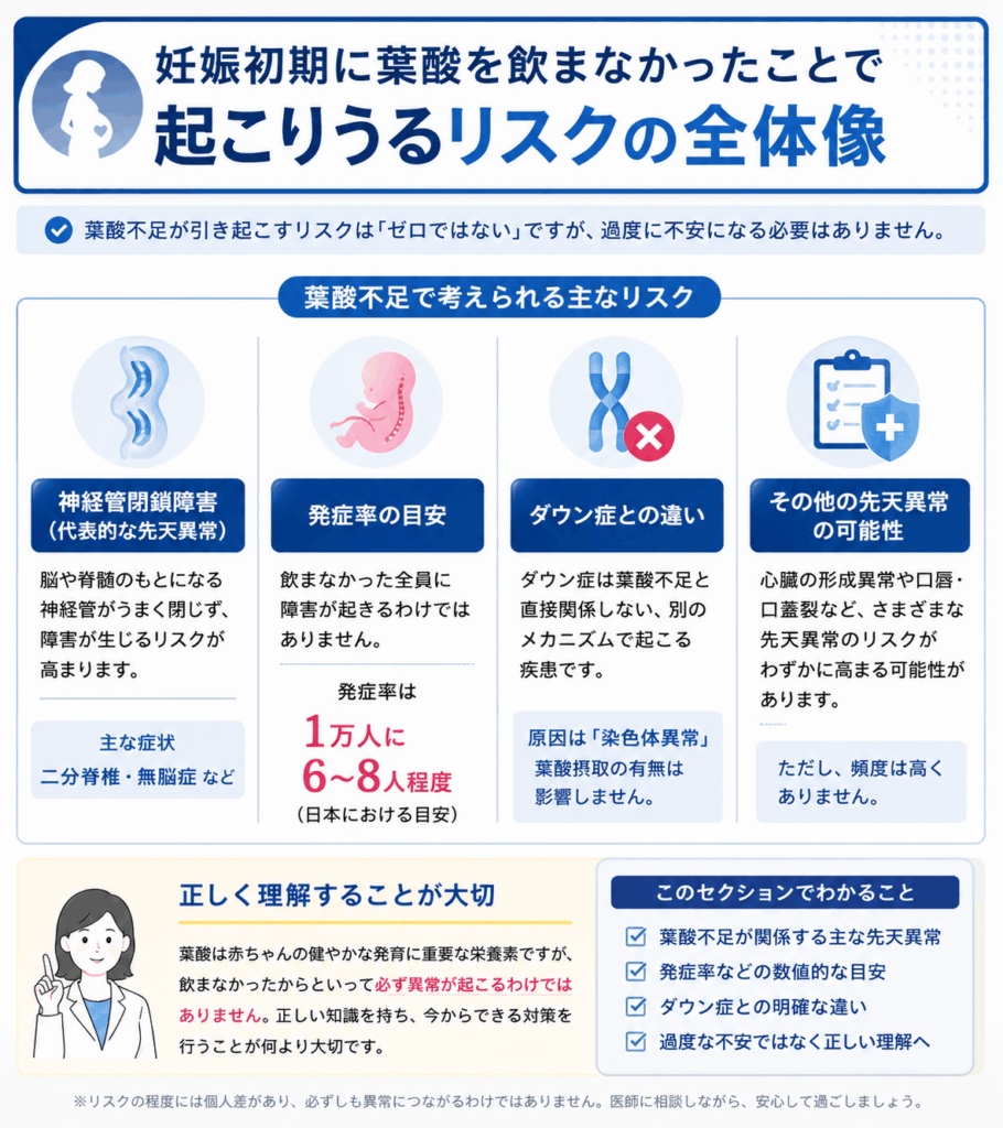 妊娠初期に葉酸を飲まなかったことで起こりうるリスクの全体像画像