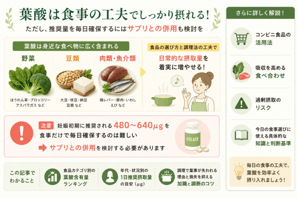 葉酸が多い食べ物についてのまとめ画像